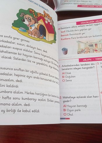 Anlama, Yorumlama ve Dil Bilgisi Kitabı 1. Sınıf Salan Yayınları - Görsel 5