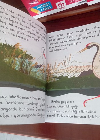 Model Yay. 1.Sınıf Yaz Tatil Kitapları - Görsel 6