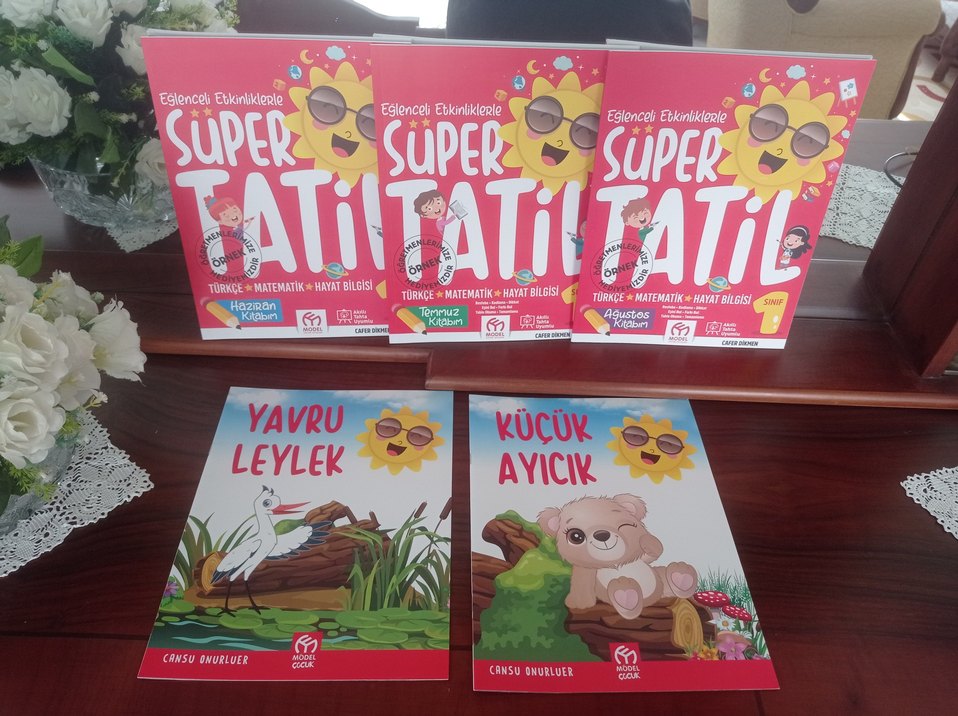 Model Yay. 1.Sınıf Yaz Tatil Kitapları - Görsel 2