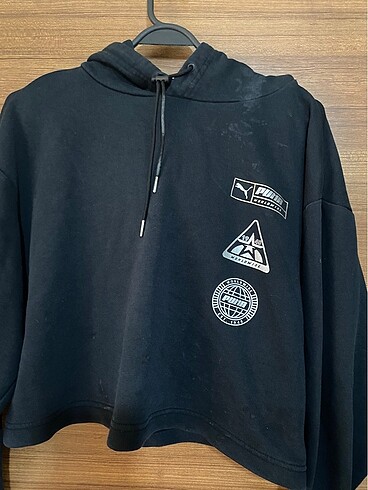 Puma krop