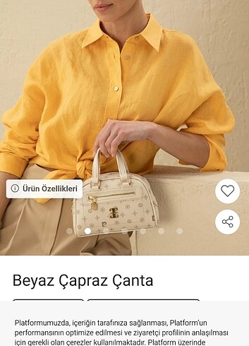 Çanta Pierre cardin
