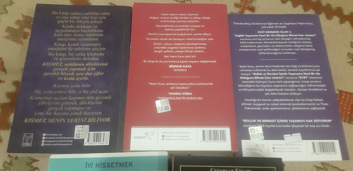 Tuğçe Işınsu, Yeşim Kuzu, Dr. David Burns, Carol Bolt Kitapları - Görsel 4