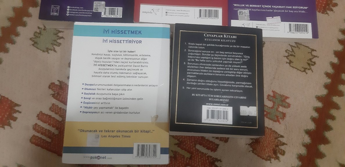 Tuğçe Işınsu, Yeşim Kuzu, Dr. David Burns, Carol Bolt Kitapları - Görsel 5