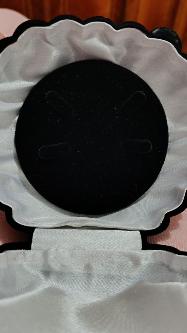 Siyah Kadife Takı Kolye Kutusu - Görsel 5