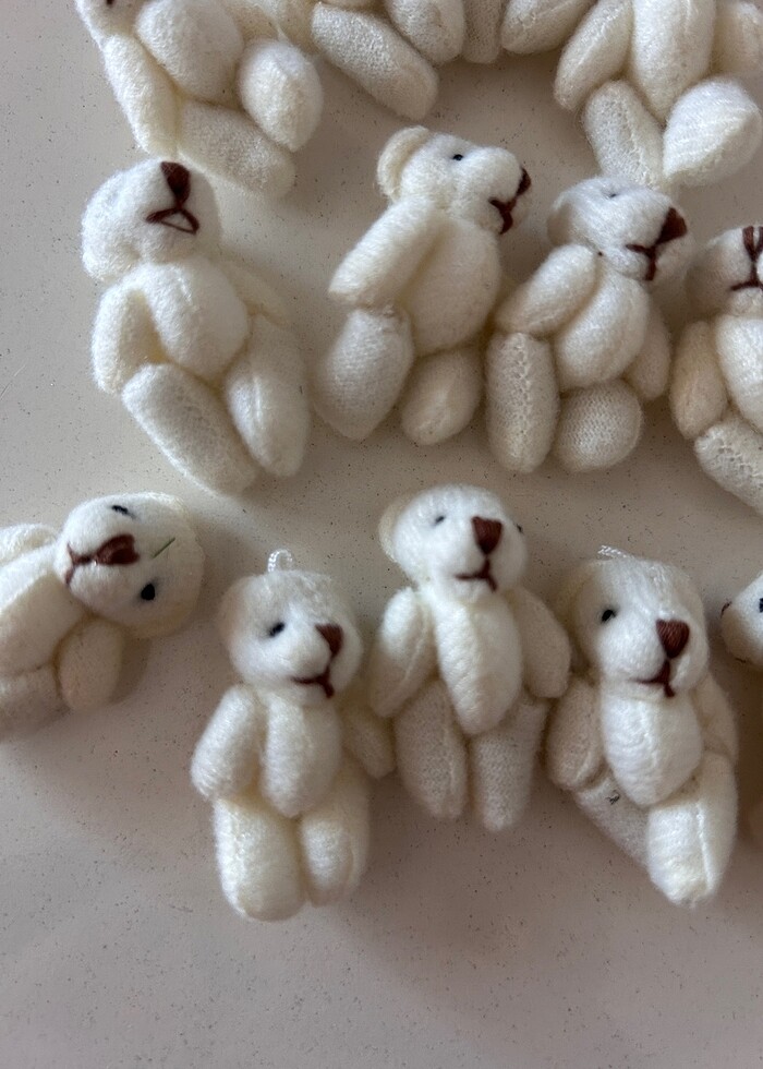 Ayıcık ve koku şişesi - Görsel 2