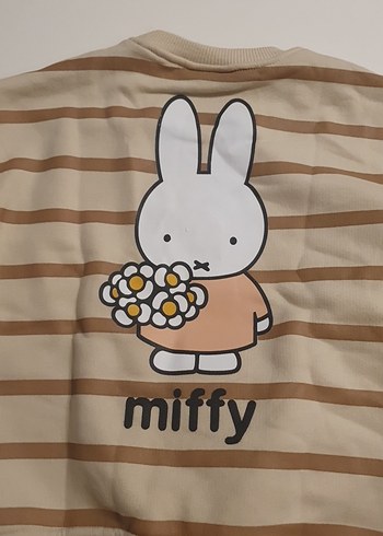 Diğer Miffy alt üst takım