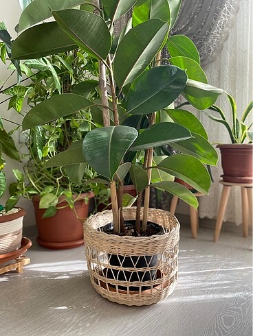Rattan çiçek sepeti