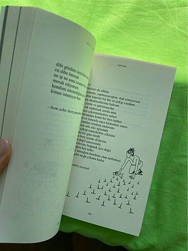 Güneş Ve Onun Çiçekleri - Görsel 2