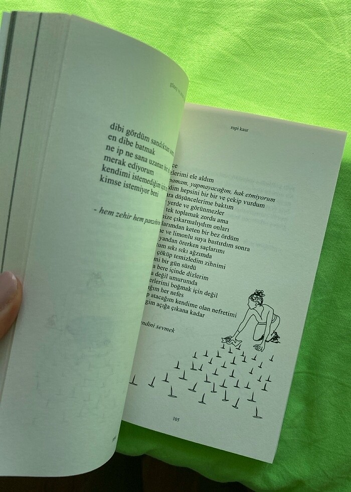 Güneş Ve Onun Çiçekleri - Görsel 2