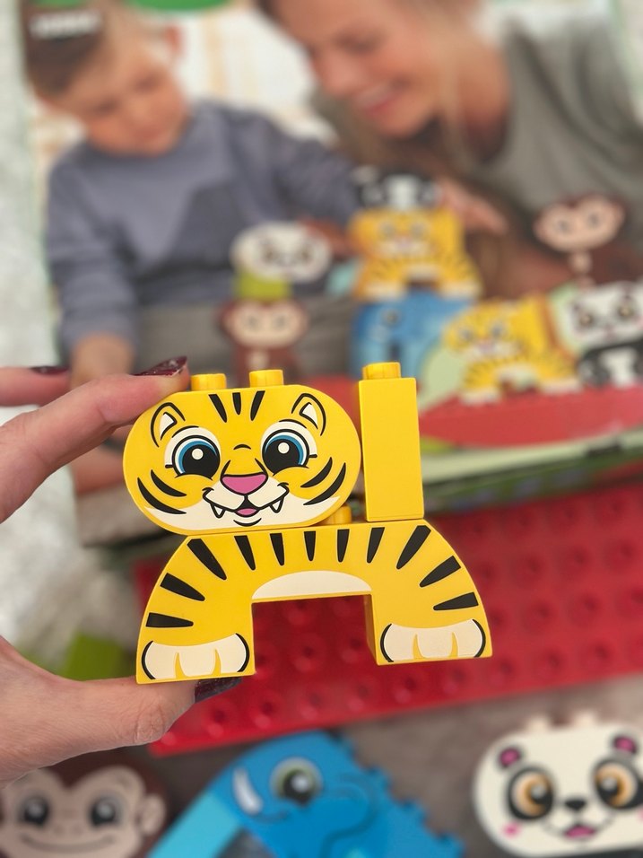 LEGO Duplo Hayvan Figürleri 10884 - Görsel 2