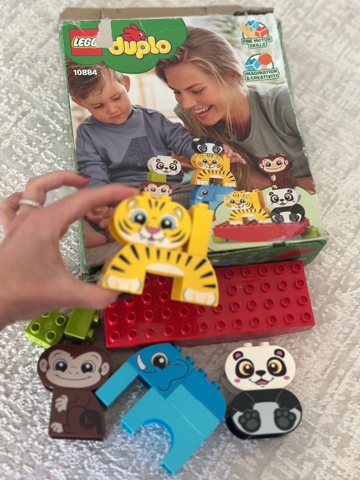 LEGO Duplo Hayvan Figürleri 10884 - Görsel 4