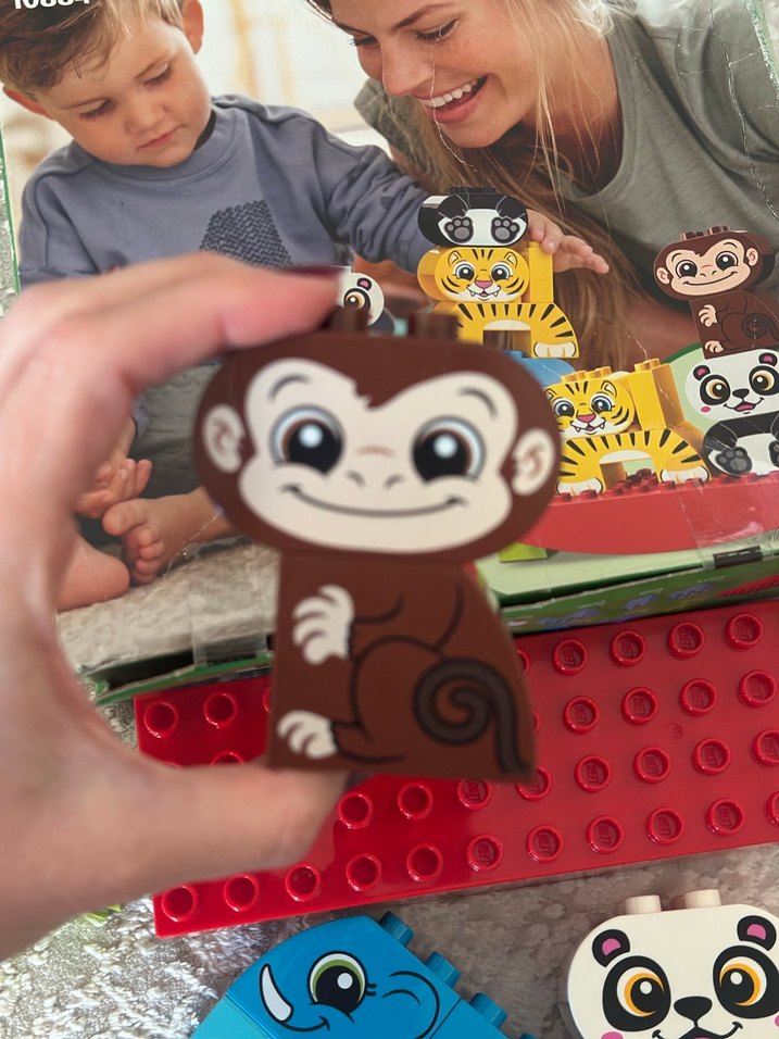 LEGO Duplo Hayvan Figürleri 10884 - Görsel 5