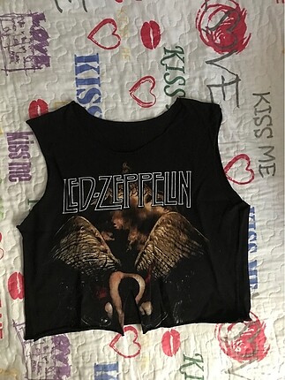 Led zeppelin crop
