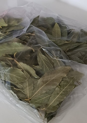 10 Gr Kurutulmuş Defne Yaprağı - Görsel 4