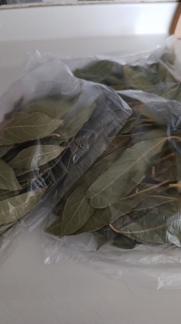 10 Gr Kurutulmuş Defne Yaprağı - Görsel 3