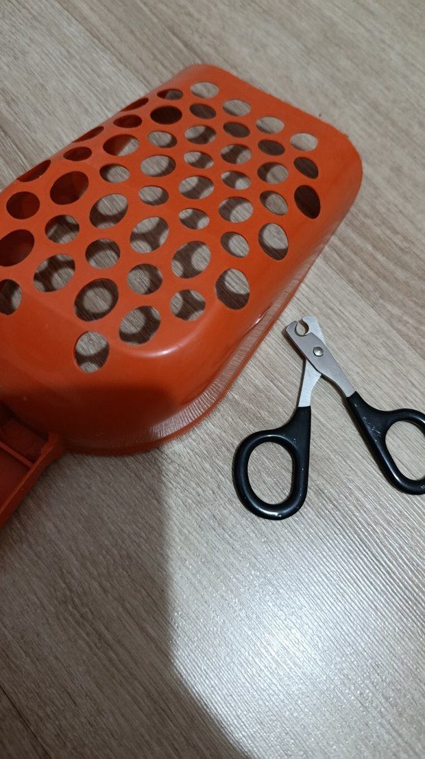 Kedi Kumu Küreği ve Tırnak Makası Seti - Görsel 4