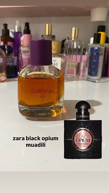 gardenia parfüm zara
