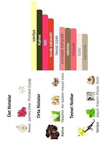 Zara gardenia parfüm zara