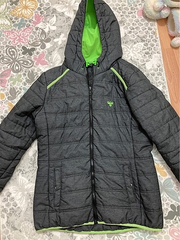 hummel mont