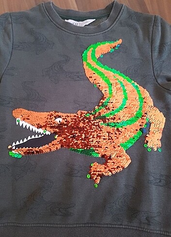 H&M H&M Timsah desenli SWEATSHIRT