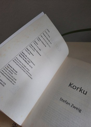  Beden Renk Stefan Zweig Korku, Bir Çöküşün Öyküsü, Bilinmeyen Bir Kadını...