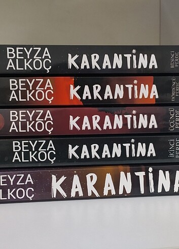 Karantina beyza alkoc