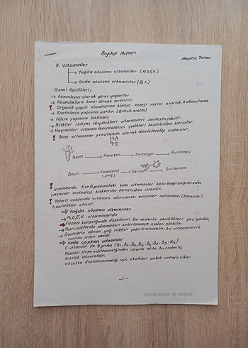 9. 10. Sınıf Biyoloji Ders Notları
