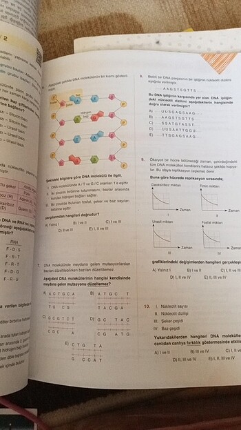  Beden 9 sınıf biyoloji test kitabi 