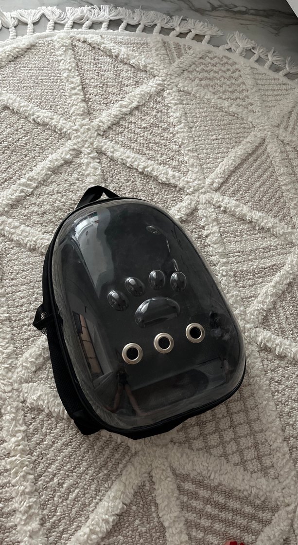 Siyah Taşıma & kedi çantası - Görsel 2