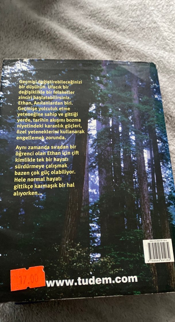 Anılan - Marianne Curtey - Görsel 2