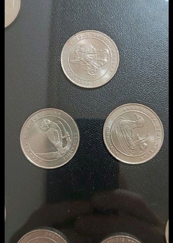 2018 ANADOLUYA ÖZGÜ KUŞLAR SETİ AHŞAP KİTİNDE ÇİL - Görsel 2