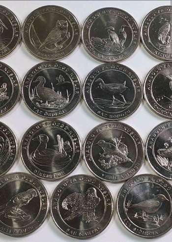 2018 ANADOLUYA ÖZGÜ KUŞLAR SETİ AHŞAP KİTİNDE ÇİL - Görsel 6