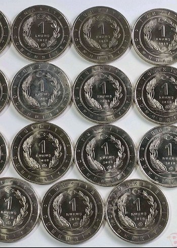 2018 ANADOLUYA ÖZGÜ KUŞLAR SETİ AHŞAP KİTİNDE ÇİL - Görsel 7