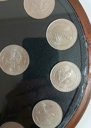 2018 ANADOLUYA ÖZGÜ KUŞLAR SETİ AHŞAP KİTİNDE ÇİL - Görsel 4