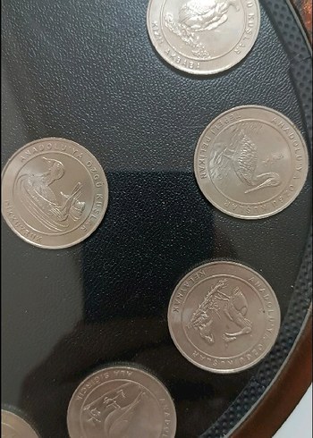 2018 ANADOLUYA ÖZGÜ KUŞLAR SETİ AHŞAP KİTİNDE ÇİL - Görsel 5