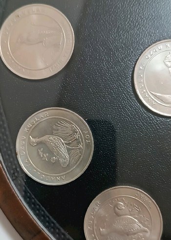 2018 ANADOLUYA ÖZGÜ KUŞLAR SETİ AHŞAP KİTİNDE ÇİL - Görsel 3