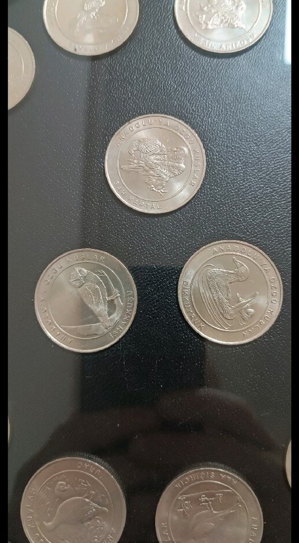 2018 ANADOLUYA ÖZGÜ KUŞLAR SETİ AHŞAP KİTİNDE ÇİL - Görsel 2