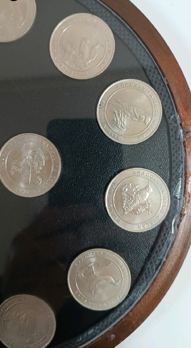 2018 ANADOLUYA ÖZGÜ KUŞLAR SETİ AHŞAP KİTİNDE ÇİL - Görsel 4