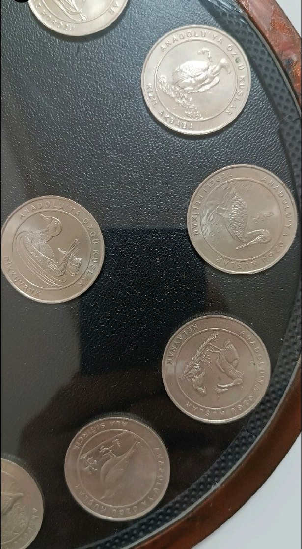 2018 ANADOLUYA ÖZGÜ KUŞLAR SETİ AHŞAP KİTİNDE ÇİL - Görsel 5