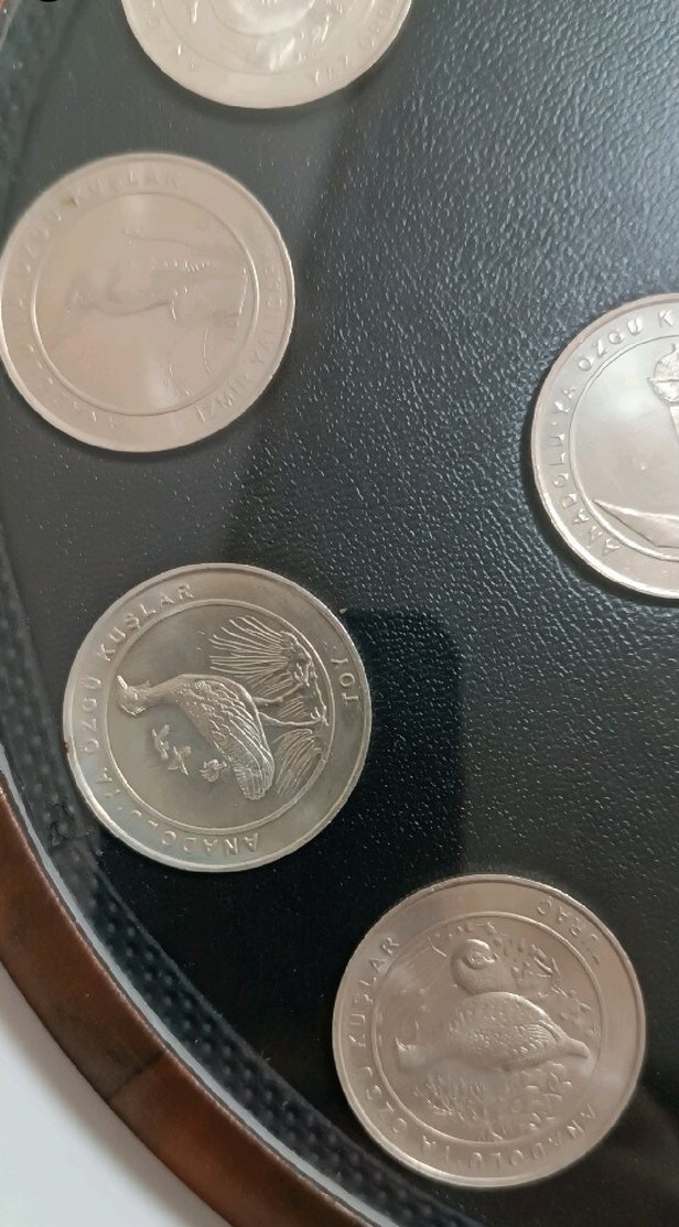 2018 ANADOLUYA ÖZGÜ KUŞLAR SETİ AHŞAP KİTİNDE ÇİL - Görsel 3