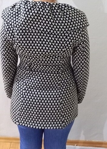 Kalpli kaban  - Görsel 2