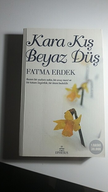 Kara kış beyaz düş