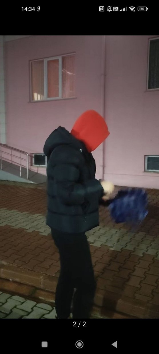 siyah şişme mont - Görsel 2