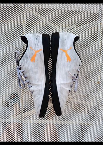 Puma puma krampon
