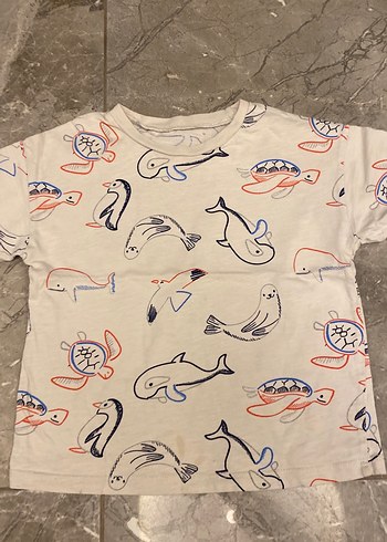 Erkek Çocuk Çok Renkli Baskılı Kısa Kollu Tişört - Görsel 3