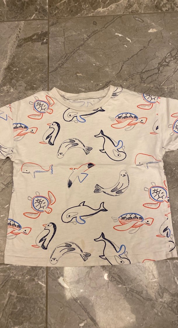 Erkek Çocuk Çok Renkli Baskılı Kısa Kollu Tişört - Görsel 3