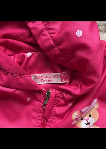 Kız Çocuk Kapüşonlu Nakışlı Fermuarlı Ceket - Görsel 4