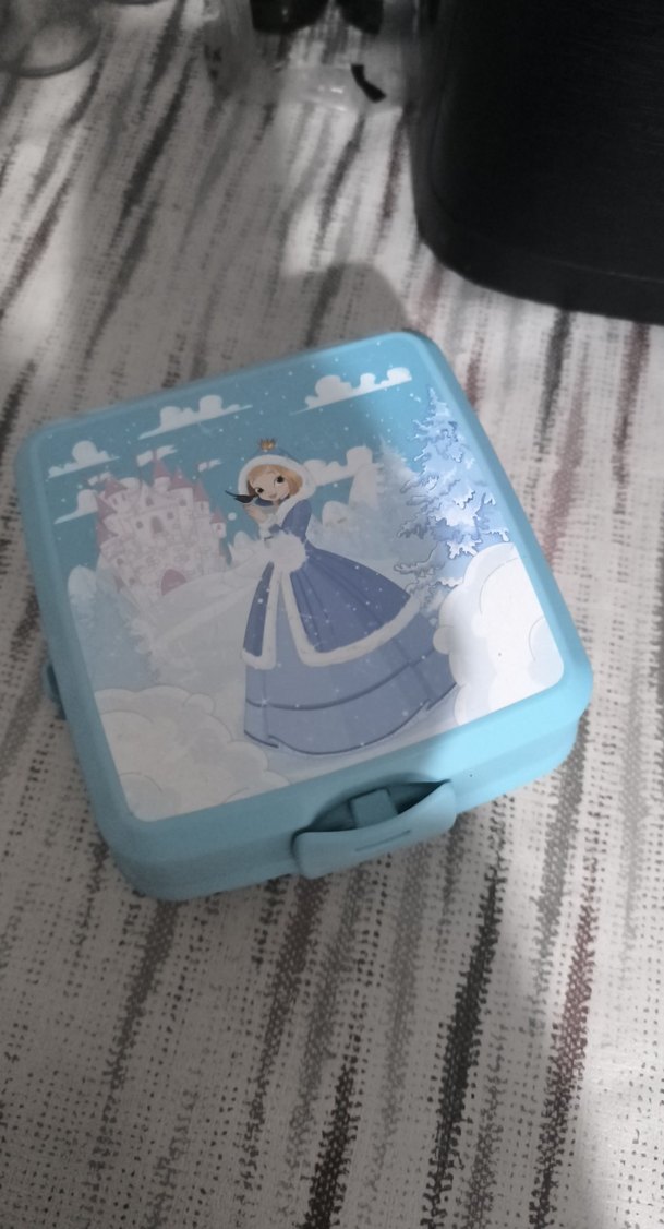 Bölmeli Mavi Plastik Saklama Kutusu - Görsel 2