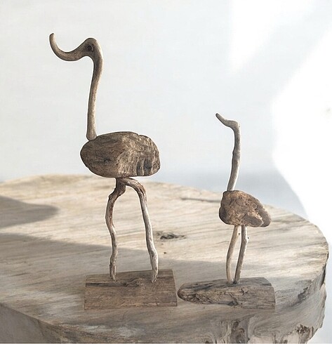 Driftwood ahşap devekuşu biblo 2li