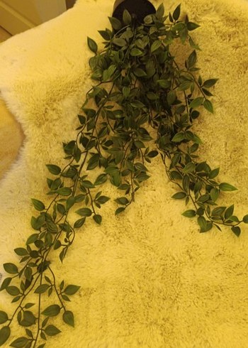 Koyu Yeşil Yapraklı Ev Dekoru - Görsel 4